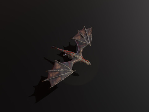 Realistic Black Wyvern Animated Low-Poly 3D Model
