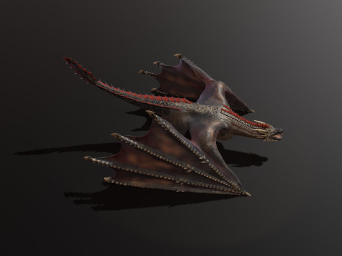 Realistic Black Wyvern Animated Low-Poly 3D Model