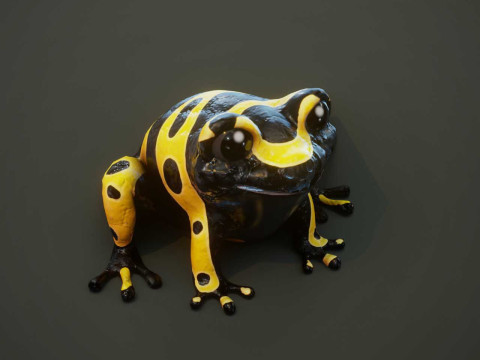Animated Cartoon Animals Mega Pack Unity 3D Model