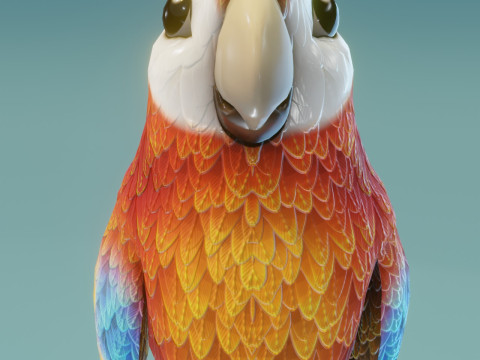 Cartoon Animated Ara Parrot Owl and Squirrel Collection 3D-Modell