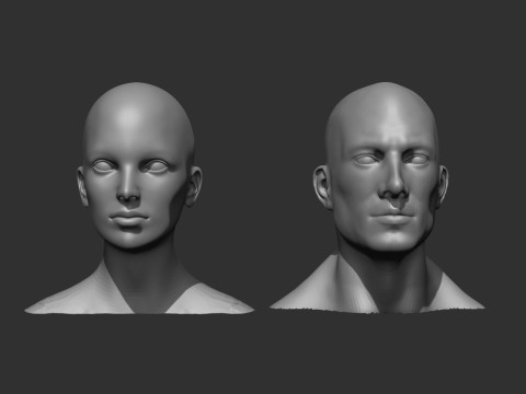 Male and Female Head Realistic Base Mesh 3D Модель