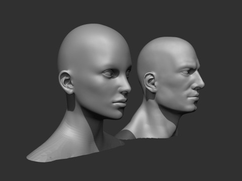 Male and Female Head Realistic Base Mesh 3D मॉडल