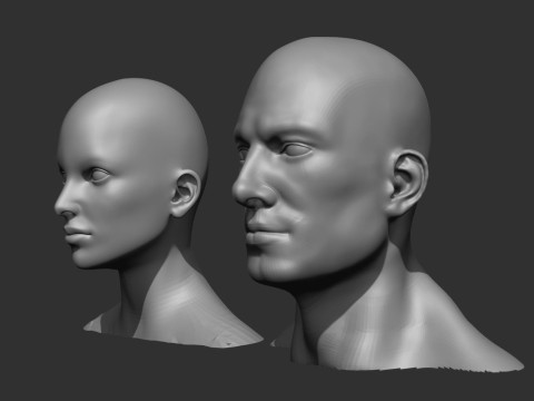 Male and Female Head Realistic Base Mesh 3D मॉडल