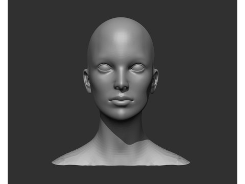 Male and Female Head Realistic Base Mesh 3D मॉडल