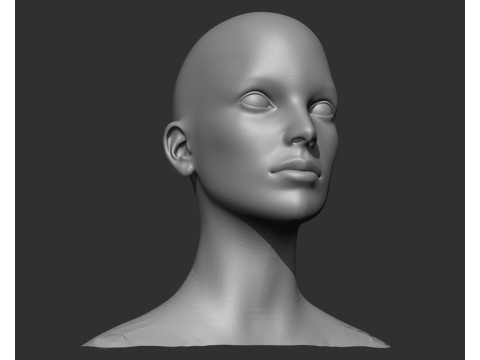 Male and Female Head Realistic Base Mesh 3D मॉडल