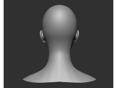 Male and Female Head Realistic Base Mesh 3D मॉडल