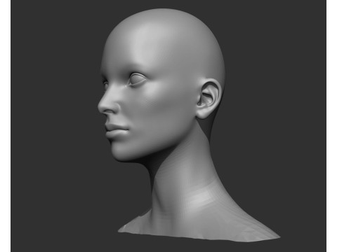 Male and Female Head Realistic Base Mesh 3D मॉडल