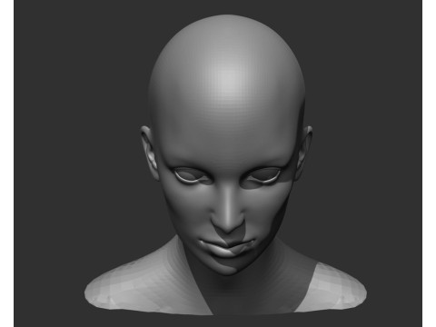 Male and Female Head Realistic Base Mesh 3D मॉडल