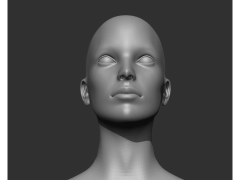Male and Female Head Realistic Base Mesh 3D मॉडल