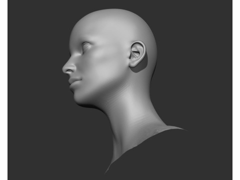 Male and Female Head Realistic Base Mesh 3D मॉडल