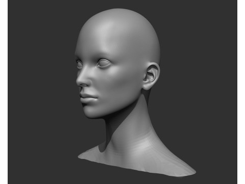 Female Head Realistic Base Mesh Modelo 3D
