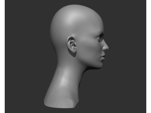 Female Head Realistic Base Mesh Modelo 3D