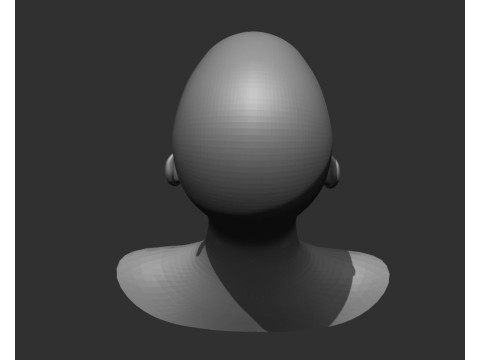 Female Head Realistic Base Mesh Modelo 3D