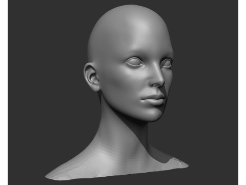 Female Head Realistic Base Mesh Modelo 3D