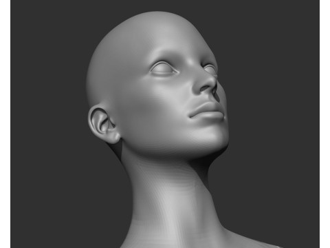 Female Head Realistic Base Mesh Modelo 3D