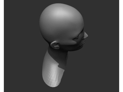 Female Head Realistic Base Mesh Modelo 3D