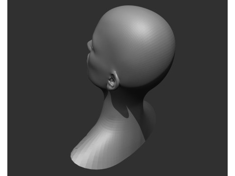 Female Head Realistic Base Mesh Modelo 3D