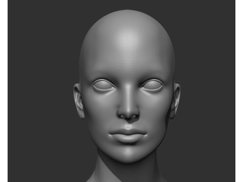 Female Head Realistic Base Mesh Modelo 3D