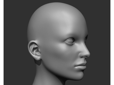 Female Head Realistic Base Mesh Modelo 3D