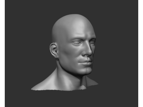 Male Head Realistic Base Mesh 3Dモデル