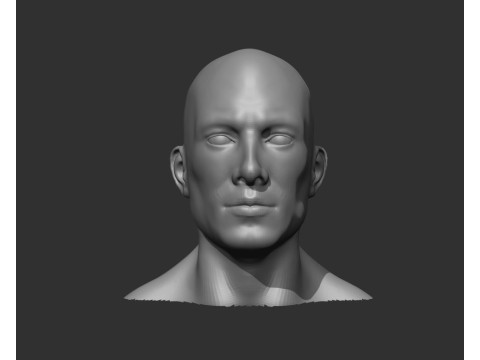 Male Head Realistic Base Mesh Model 3D