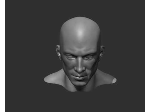 Male Head Realistic Base Mesh Model 3D