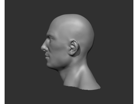 Male Head Realistic Base Mesh Model 3D