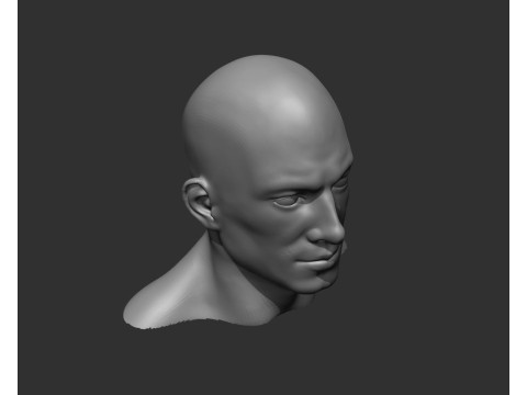 Male Head Realistic Base Mesh Model 3D