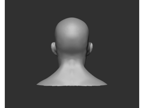 Male Head Realistic Base Mesh Model 3D