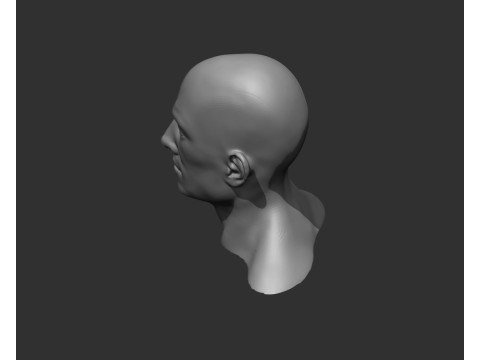 Male Head Realistic Base Mesh Model 3D