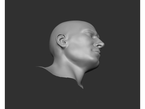 Male Head Realistic Base Mesh Model 3D