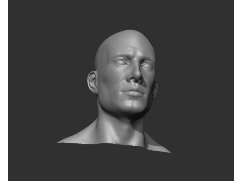Male Head Realistic Base Mesh Model 3D