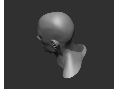 Male Head Realistic Base Mesh Model 3D
