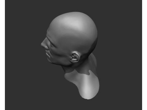 Male Head Realistic Base Mesh Model 3D