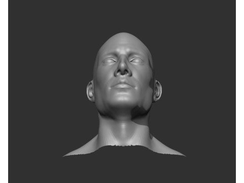 Male Head Realistic Base Mesh Model 3D