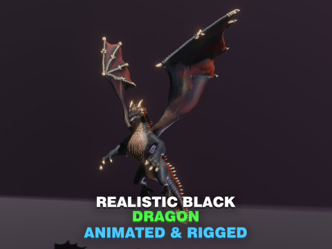 Realistic Black Dragon Animated Low-poly 3D 모델