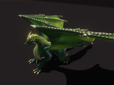 Realistic Green Dragon Animated Low-poly Model 3D
