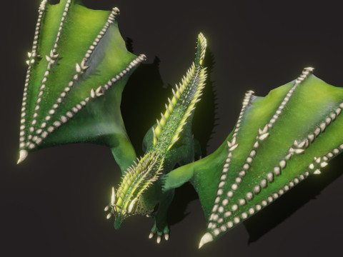 Realistic Green Dragon Animated Low-poly Model 3D