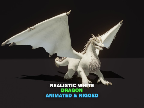 Realistic White Dragon Animated Low-poly 3D Model