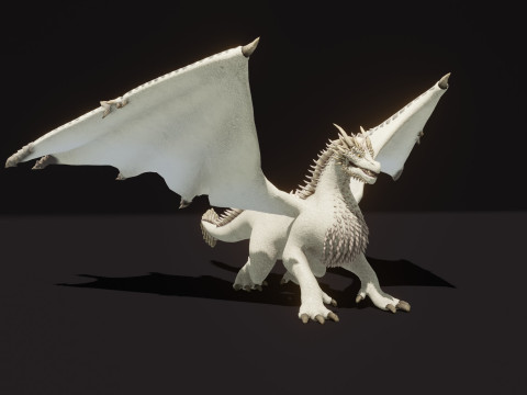 Realistic White Dragon Animated Low-poly 3D Модель