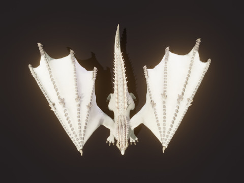 Realistic White Dragon Animated Low-poly 3D Модель