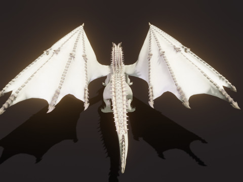 Realistic White Dragon Animated Low-poly 3D Модель