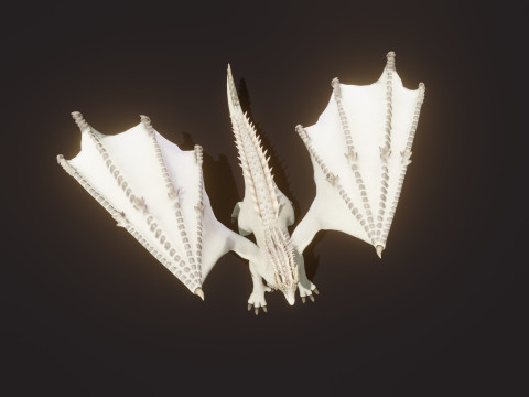 Realistic White Dragon Animated Low-poly 3D Модель