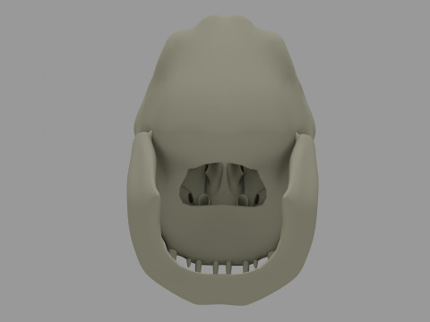 Alien skull 3D Printable Model 3D-printmodel