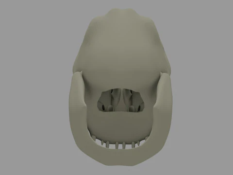 Alien-Sch&auml;del 3D-druckbares Modell 3D Druckmodell