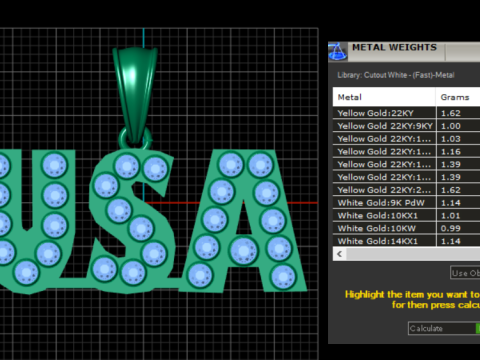 USA GOLD PENDANT Model Cetak 3D