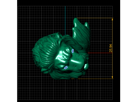 LION FACES PENDANT 3D 打印模型