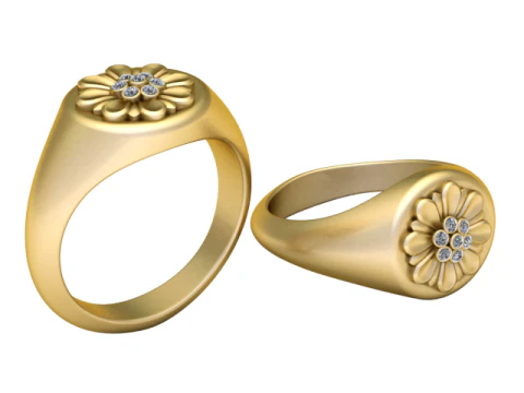 3D ЗОЛОТОЕ КОЛЬЦО 3D Принт Модель