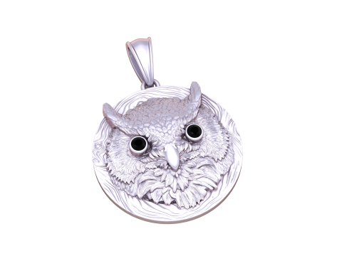Majestic Owl Medallion Pendant 3D Print Model