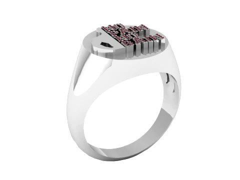 No Pain No Gain Diamond Signet Gold Ring 3D Model